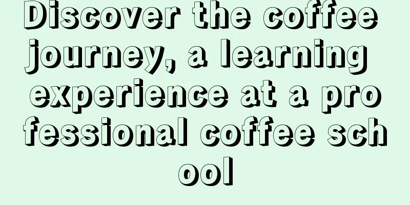 Discover the coffee journey, a learning experience at a professional coffee school