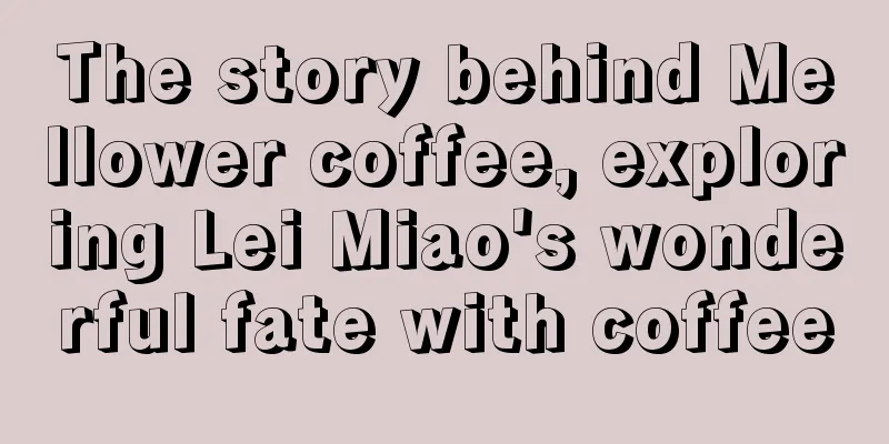 The story behind Mellower coffee, exploring Lei Miao's wonderful fate with coffee