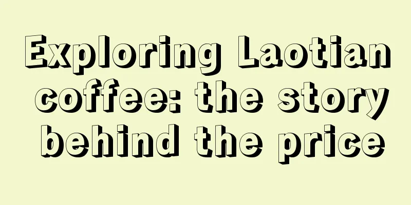 Exploring Laotian coffee: the story behind the price