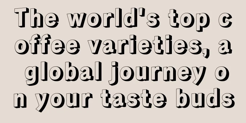 The world's top coffee varieties, a global journey on your taste buds