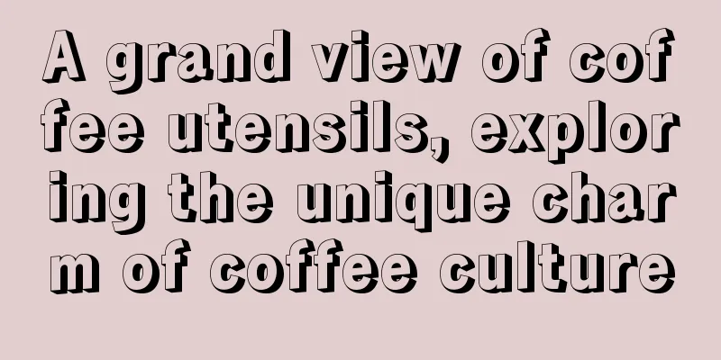 A grand view of coffee utensils, exploring the unique charm of coffee culture
