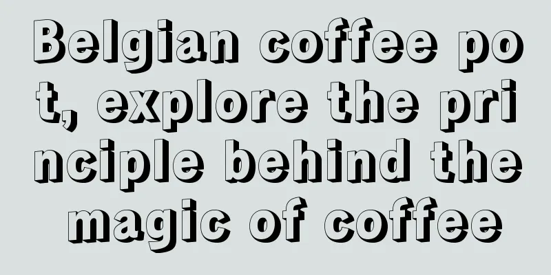 Belgian coffee pot, explore the principle behind the magic of coffee