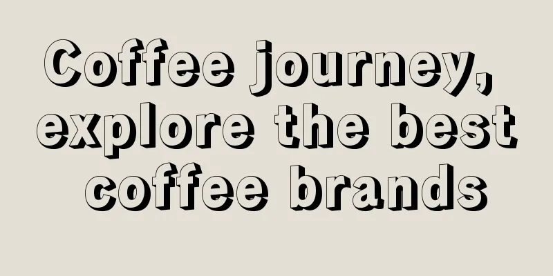 Coffee journey, explore the best coffee brands