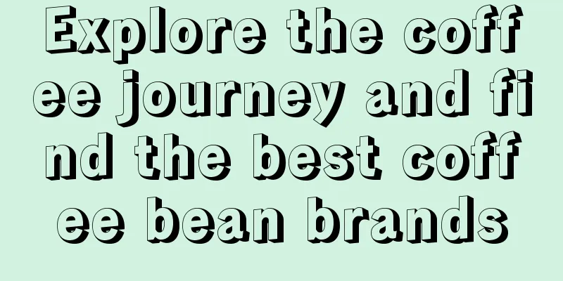Explore the coffee journey and find the best coffee bean brands