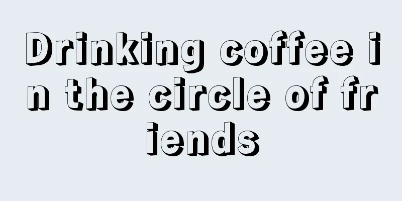 Drinking coffee in the circle of friends