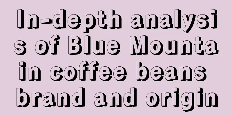 In-depth analysis of Blue Mountain coffee beans brand and origin