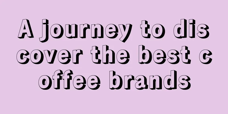 A journey to discover the best coffee brands