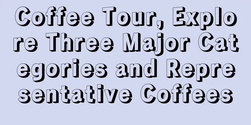 Coffee Tour, Explore Three Major Categories and Representative Coffees