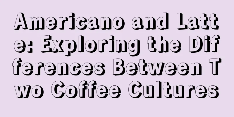 Americano and Latte: Exploring the Differences Between Two Coffee Cultures