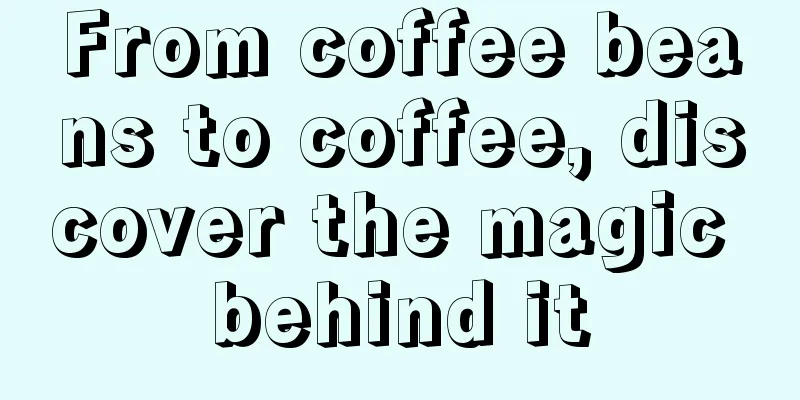 From coffee beans to coffee, discover the magic behind it