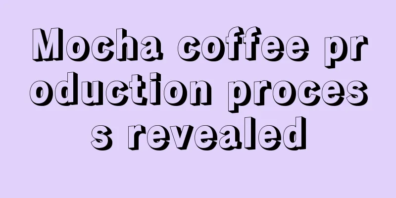 Mocha coffee production process revealed