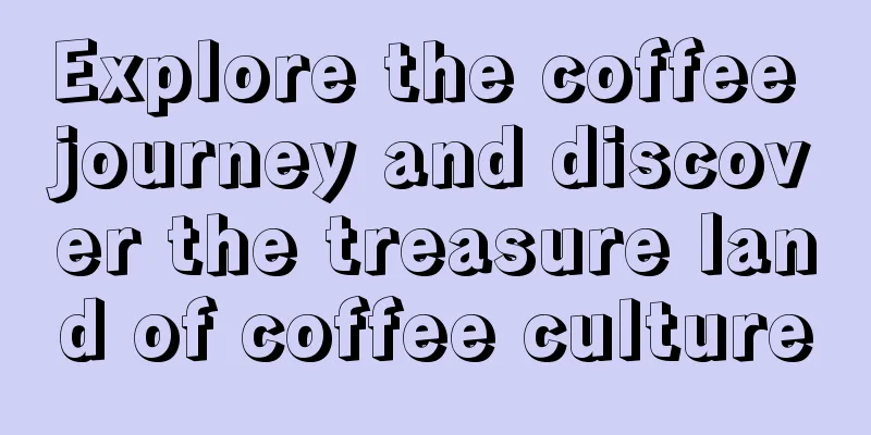 Explore the coffee journey and discover the treasure land of coffee culture