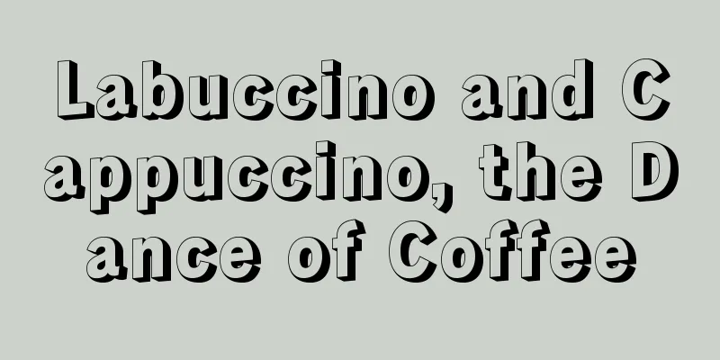 Labuccino and Cappuccino, the Dance of Coffee