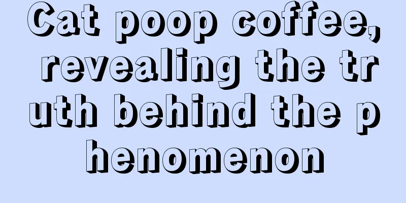 Cat poop coffee, revealing the truth behind the phenomenon