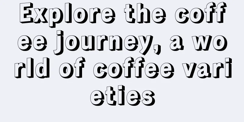 Explore the coffee journey, a world of coffee varieties