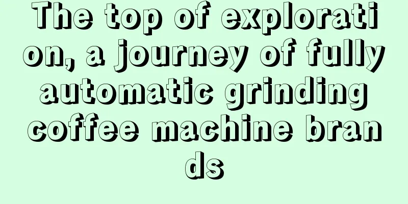 The top of exploration, a journey of fully automatic grinding coffee machine brands