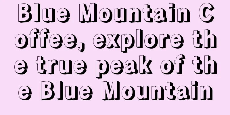 Blue Mountain Coffee, explore the true peak of the Blue Mountain