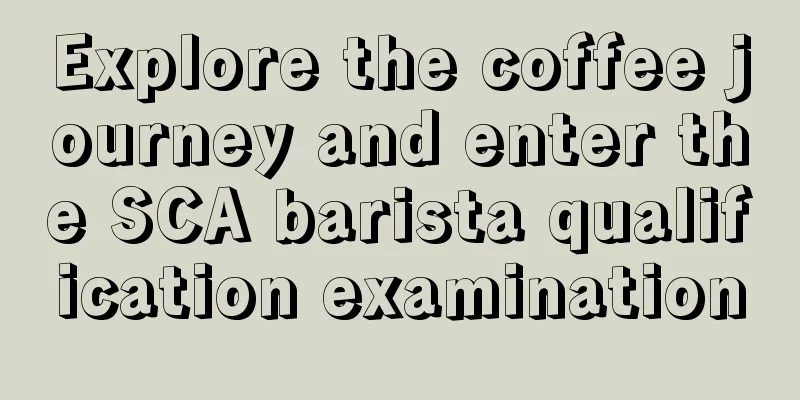 Explore the coffee journey and enter the SCA barista qualification examination