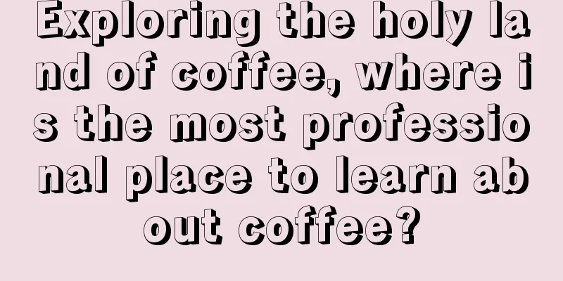 Exploring the holy land of coffee, where is the most professional place to learn about coffee?