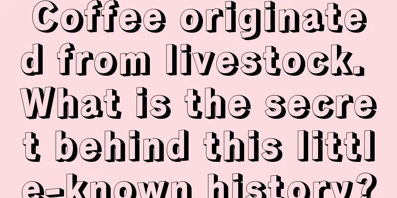Coffee originated from livestock. What is the secret behind this little-known history?