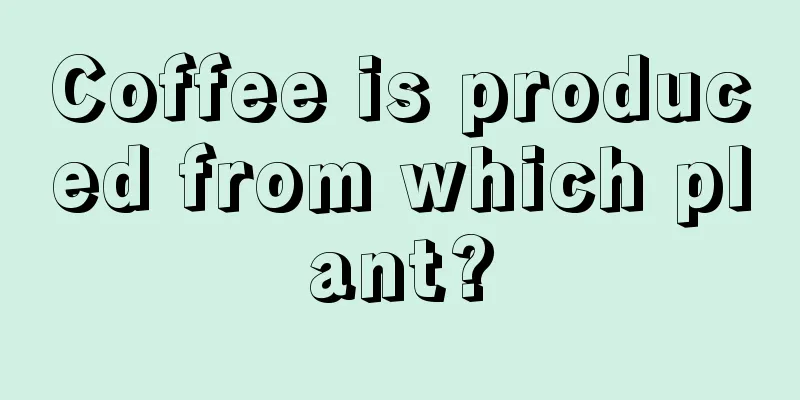 Coffee is produced from which plant?