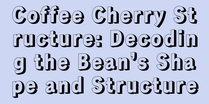 Coffee Cherry Structure: Decoding the Bean’s Shape and Structure