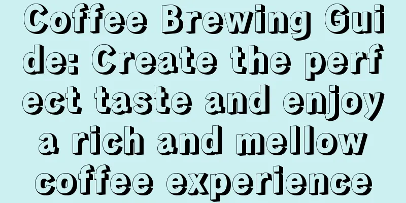 Coffee Brewing Guide: Create the perfect taste and enjoy a rich and mellow coffee experience