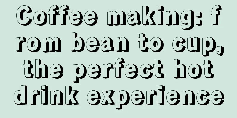 Coffee making: from bean to cup, the perfect hot drink experience