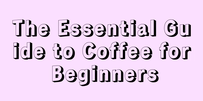The Essential Guide to Coffee for Beginners