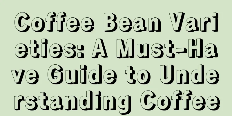 Coffee Bean Varieties: A Must-Have Guide to Understanding Coffee