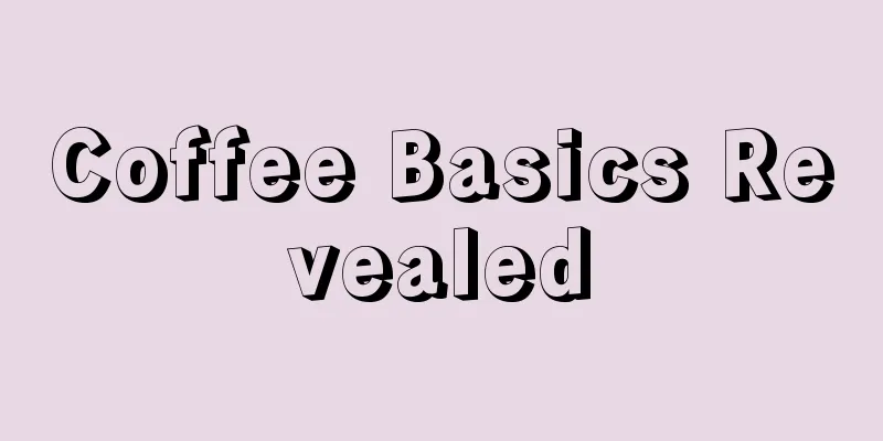 Coffee Basics Revealed