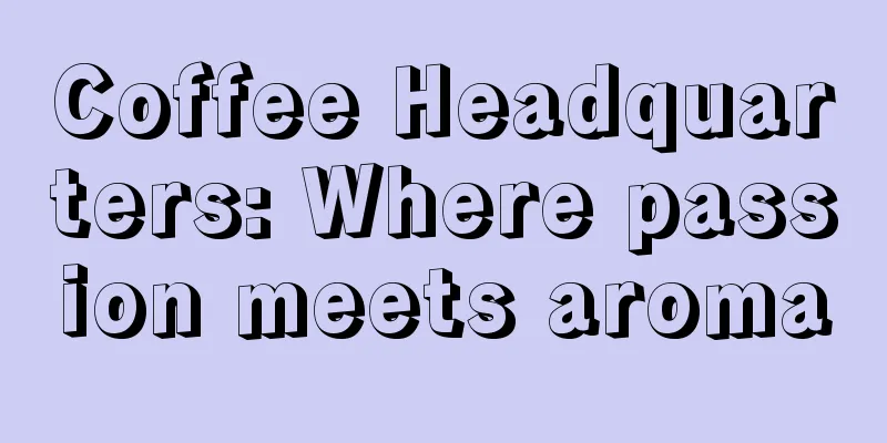 Coffee Headquarters: Where passion meets aroma
