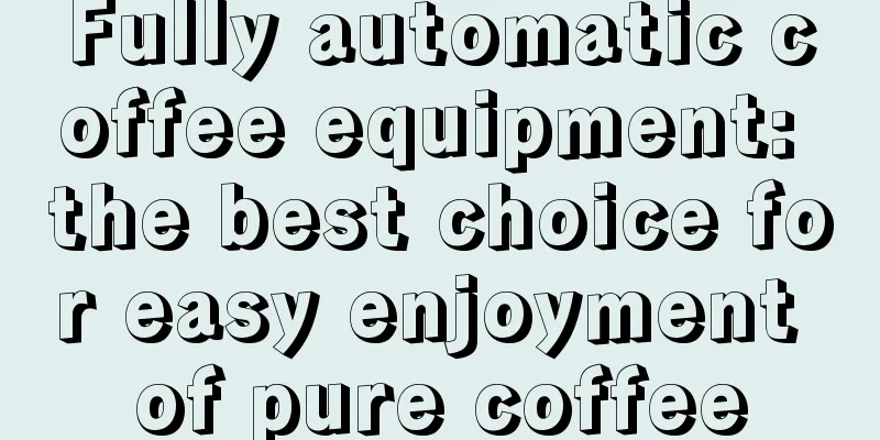 Fully automatic coffee equipment: the best choice for easy enjoyment of pure coffee