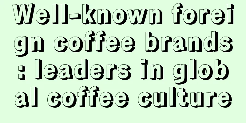 Well-known foreign coffee brands: leaders in global coffee culture