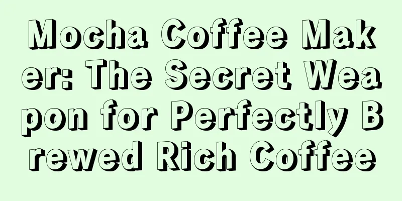 Mocha Coffee Maker: The Secret Weapon for Perfectly Brewed Rich Coffee