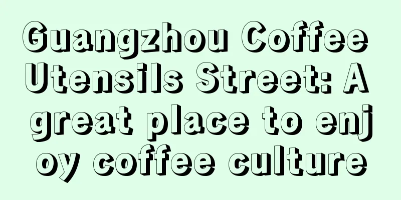 Guangzhou Coffee Utensils Street: A great place to enjoy coffee culture