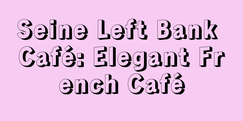 Seine Left Bank Café: Elegant French Café