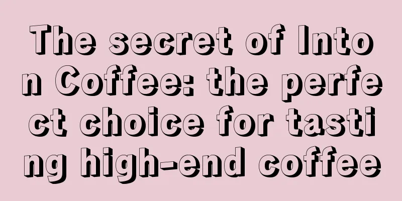 The secret of Inton Coffee: the perfect choice for tasting high-end coffee