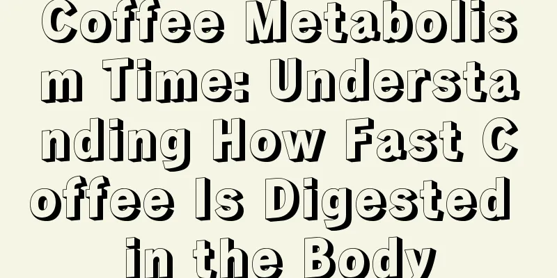 Coffee Metabolism Time: Understanding How Fast Coffee Is Digested in the Body