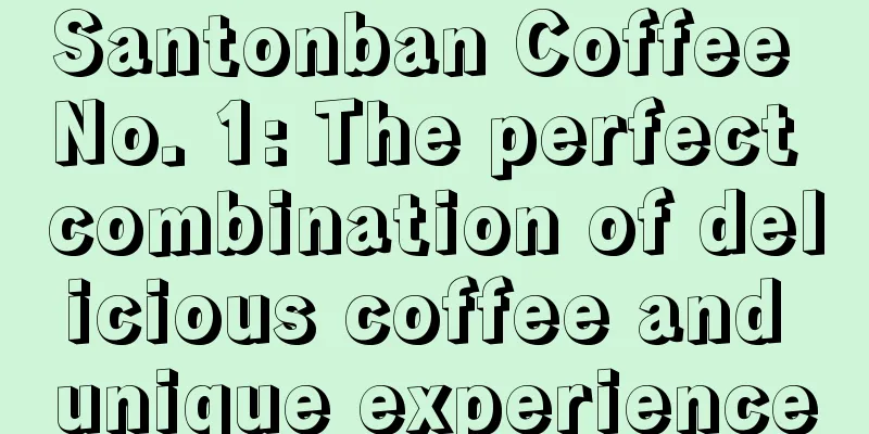 Santonban Coffee No. 1: The perfect combination of delicious coffee and unique experience