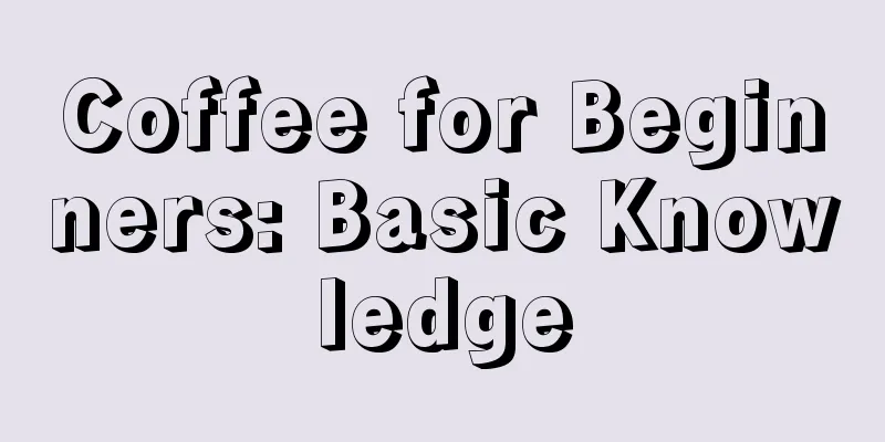 Coffee for Beginners: Basic Knowledge