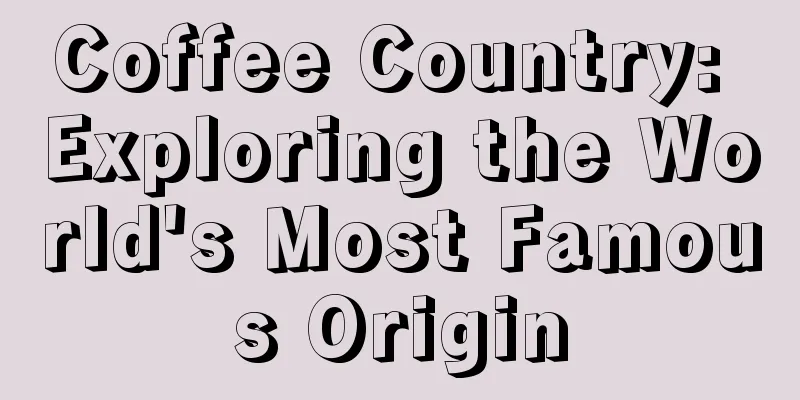 Coffee Country: Exploring the World's Most Famous Origin