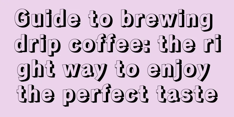 Guide to brewing drip coffee: the right way to enjoy the perfect taste