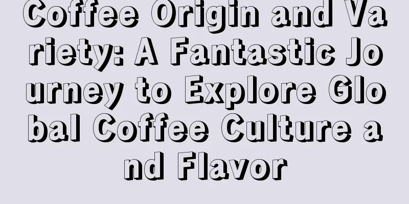 Coffee Origin and Variety: A Fantastic Journey to Explore Global Coffee Culture and Flavor