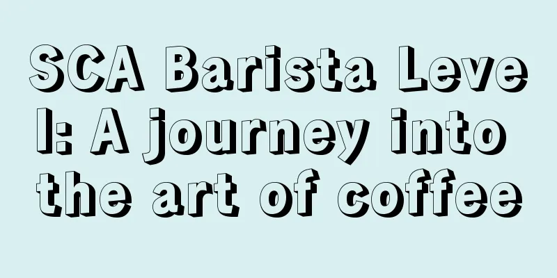SCA Barista Level: A journey into the art of coffee