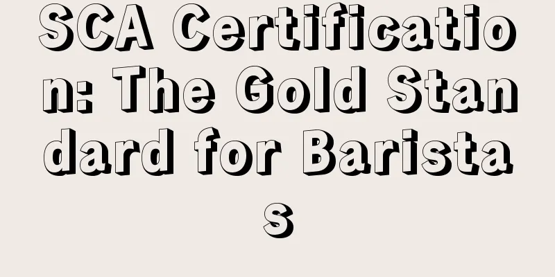 SCA Certification: The Gold Standard for Baristas