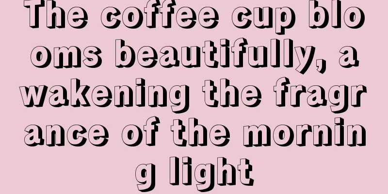 The coffee cup blooms beautifully, awakening the fragrance of the morning light