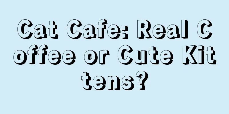 Cat Cafe: Real Coffee or Cute Kittens?