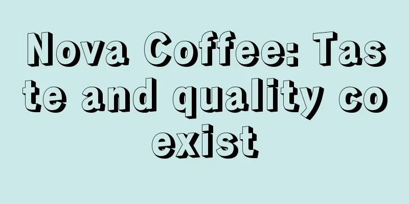 Nova Coffee: Taste and quality coexist