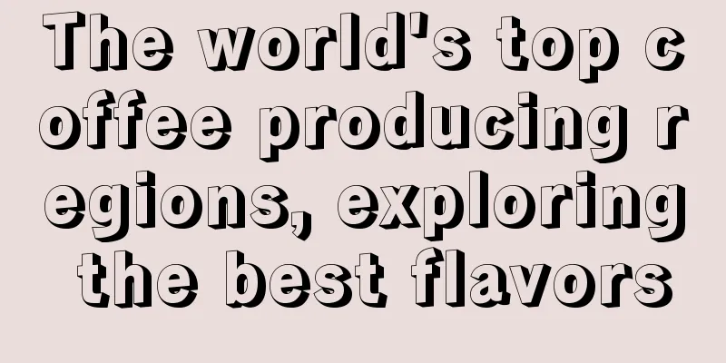 The world's top coffee producing regions, exploring the best flavors